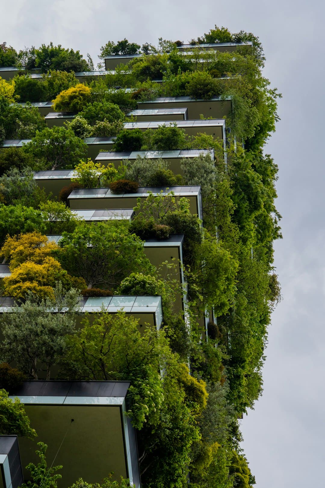 Green building architecture